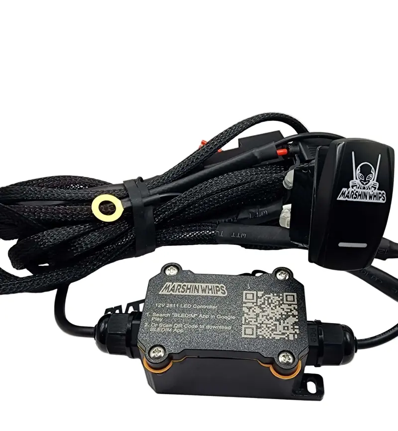 2811 Rgb Wire Harness With Rocker Switch 1