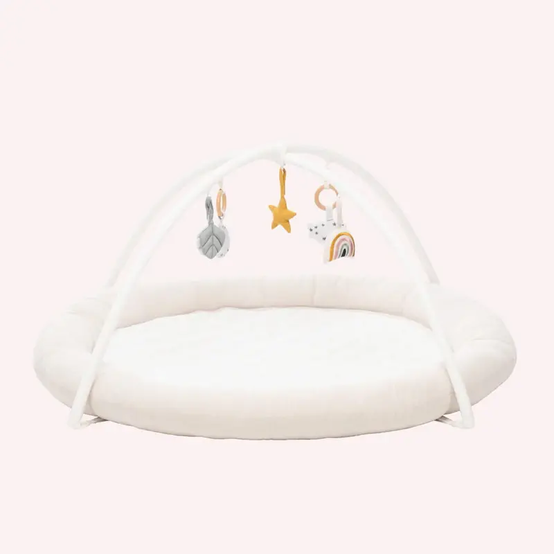 Babybee Ollie Play Gym 1