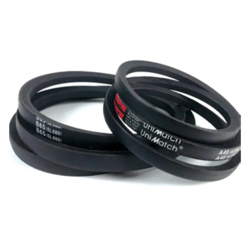 Classical Multi-Plus Belt A19 (4L210) 1