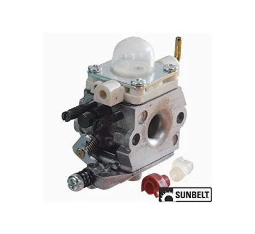 Complete Carburetor 1