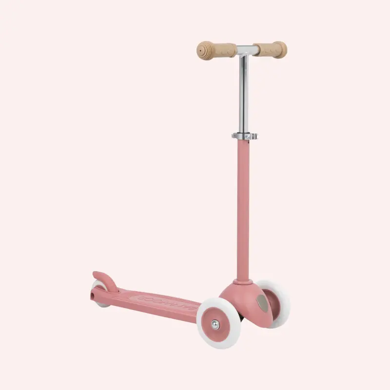 Eco Scooter - Raspberry 1