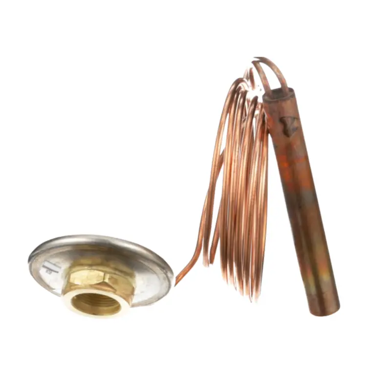 H (R-22 R-407C) - C (Med Temp.) Hfk Series Power Element 1