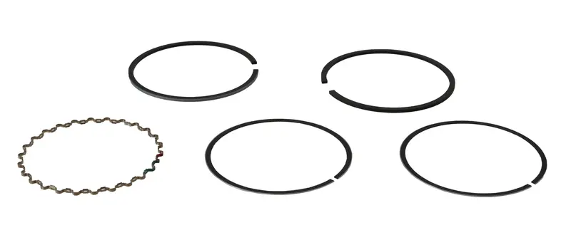 Honda Original Equipment Ring Set (Std) - 13010-Zg9-003 1
