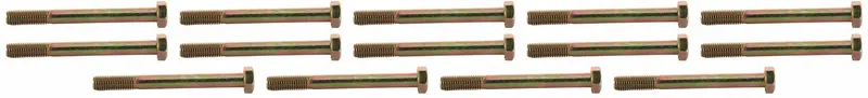 John Deere Original Equipment Cap Screw (14-Pack) - 19M7325 1