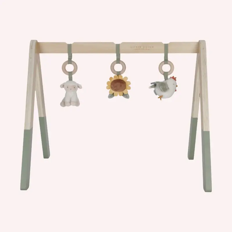 Little Farm Babygym 1