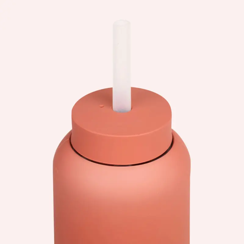 Lounge Straw & Cap - Clay 1