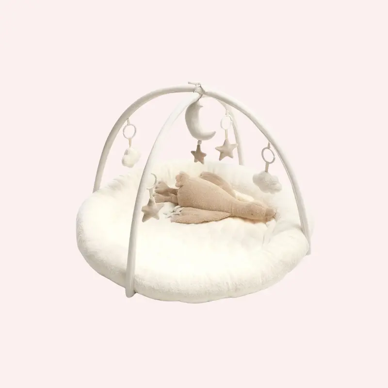 Playmat & Gym - Welcome To The World Duckling 1