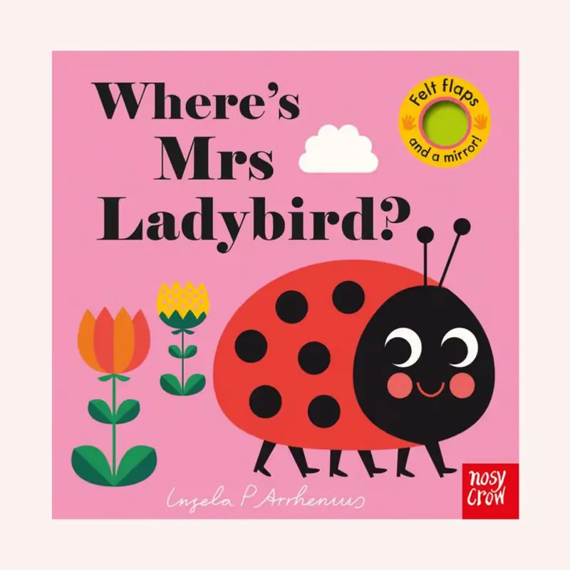 Where's Mrs Ladybird 1
