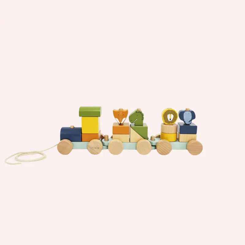Wooden Animal Train 1